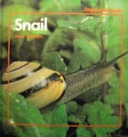 Tapa de Snail