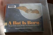 Tapa de A Bat Is Born, from the Bat-poet