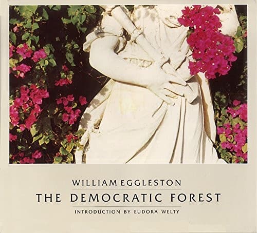 Tapa de The democratic forest