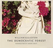 Tapa de The democratic forest
