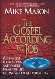 Tapa de The gospel according to Job