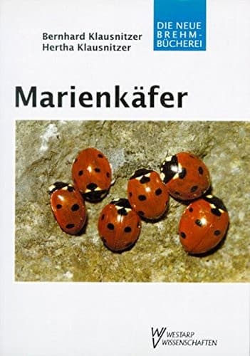 Tapa de Marienkäfer (Coccinellidae)