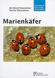 Tapa de Marienkäfer (Coccinellidae)
