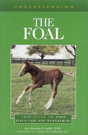 Tapa de Understanding the Foal