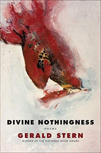 Tapa de Divine Nothingness: Poems