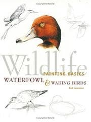 Tapa de Wildlife Painting Basics Waterfowl & Wading Birds (Wildlife Painting Basics)