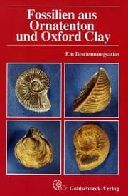 Tapa de Fossilien aus Ornatenton und Oxford Clay. Ein Bestimmungsatlas: [In German];