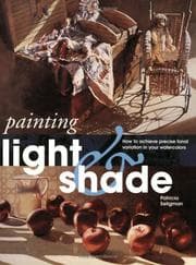 Tapa de Painting Light and Shade