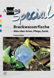 Tapa de Brackwasserfische - Alles über Arten, Pflege und Zucht