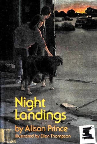 Tapa de Night landings