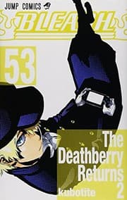 Tapa de BLEACH Vol. 53 (in Japanese)
