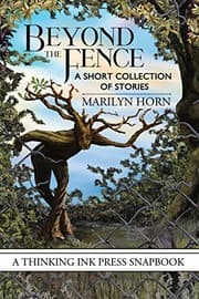 Tapa de Beyond the Fence: A Short Collection of Stories