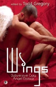 Tapa de Wings: Subversive Gay Angel Erotica