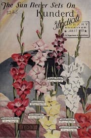 Tapa de The sun never sets on Kunderd's gladioli, 1933