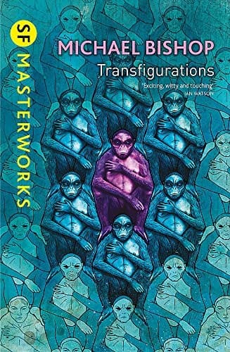 Tapa de Transfigurations (S.F. Masterworks)