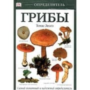 Tapa de Mushrooms / Griby
