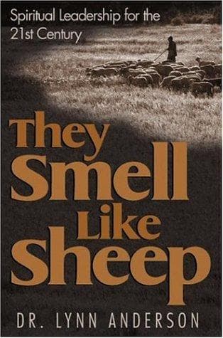 Tapa de They Smell Like Sheep