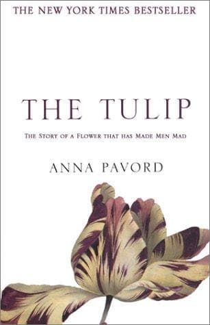 Tapa de The Tulip