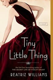 Tapa de Tiny Little Thing (The Schuler Sisters Novels)