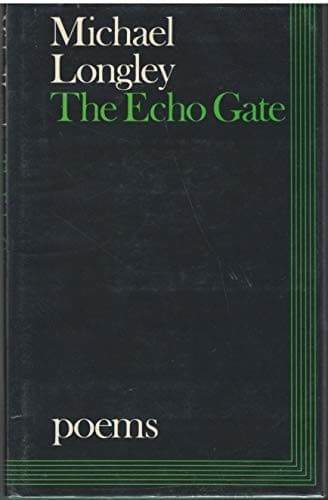 Tapa de The echo gate
