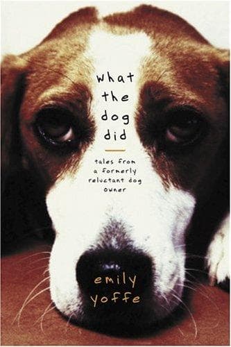 Tapa de What the Dog Did