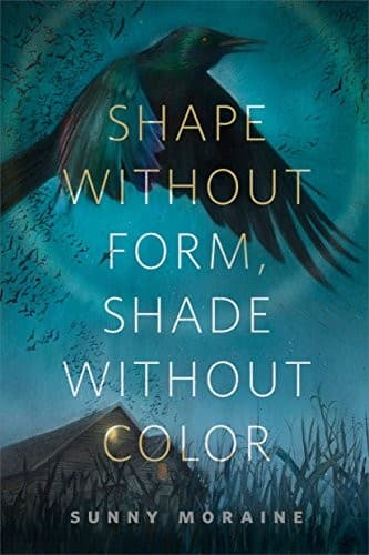 Tapa de Shape Without Form, Shade Without Color: A Tor.com Original