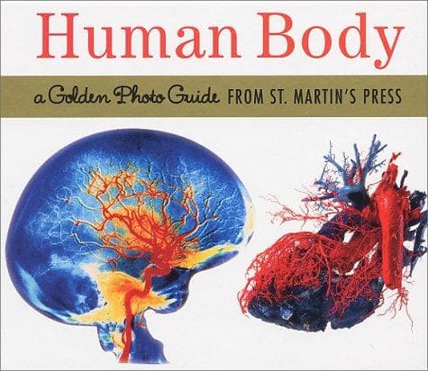 Tapa de Human body