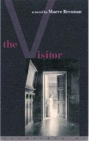 Tapa de The visitor