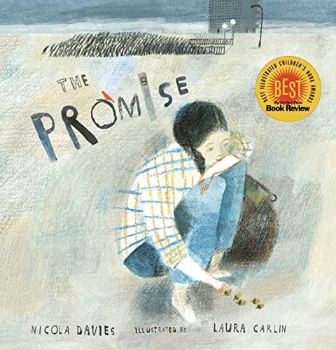 Tapa de The Promise