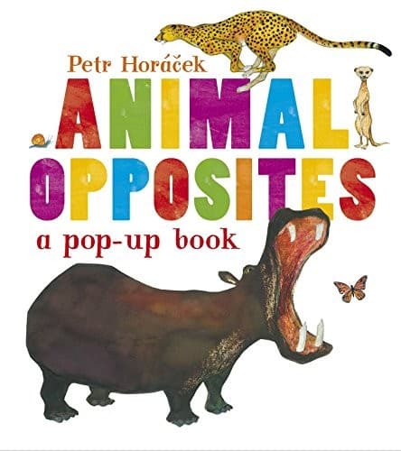 Tapa de Animal Opposites