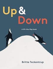 Tapa de Up & Down
