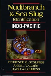 Tapa de Nudibranch & Sea Slug Identification