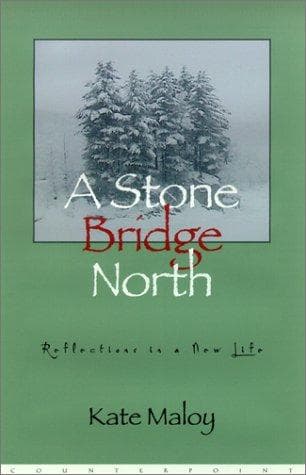 Tapa de A stone bridge North