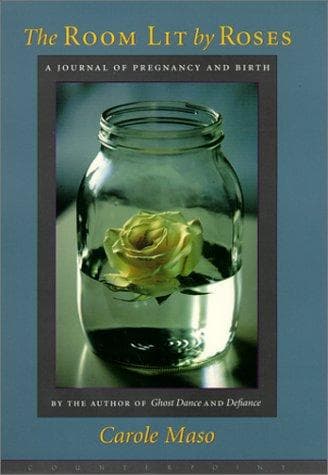 Tapa de The Room Lit by Roses