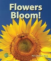 Tapa de Flowers Bloom! (I Like Plants!)