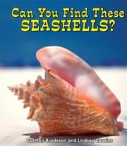 Tapa de Can You Find These Seashells? (All About Nature)