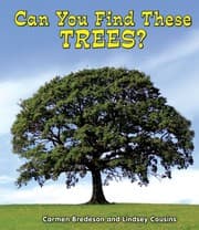 Tapa de Can You Find These Trees? (All About Nature)