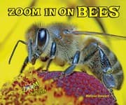 Tapa de Zoom in on Bees (Zoom in on Insects!)