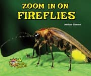 Tapa de Zoom in on Fireflies (Zoom in on Insects!)