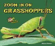 Tapa de Zoom in on Grasshoppers (Zoom in on Insects!)