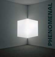 Tapa de Phenomenal: California Light, Space, Surface