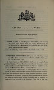 Tapa de Specification of John Ferguson