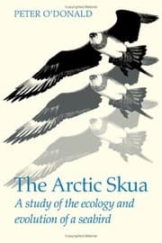 Tapa de The Arctic skua