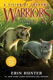 Tapa de Shattered Sky
