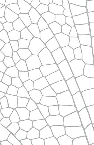 Tapa de Fairyland