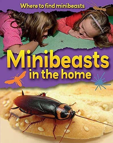 Tapa de Minibeasts in the Home