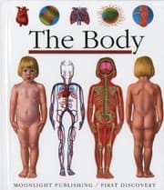 Tapa de Body