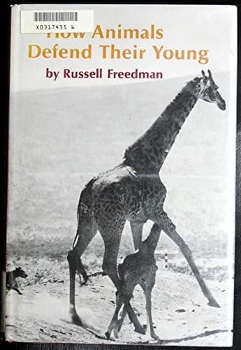 Tapa de How animals defend their young