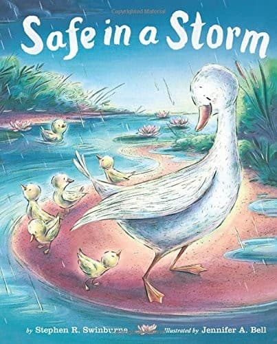 Tapa de Safe in a Storm