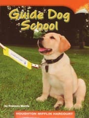 Tapa de Guide Dog School (Informational; Analyze/Evaluate0